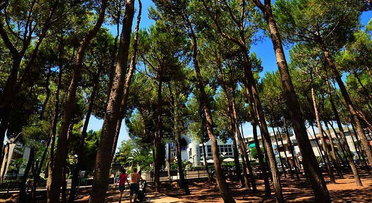 Pineta adiacente al Residence Venere, area verde naturale per passeggiate e relax